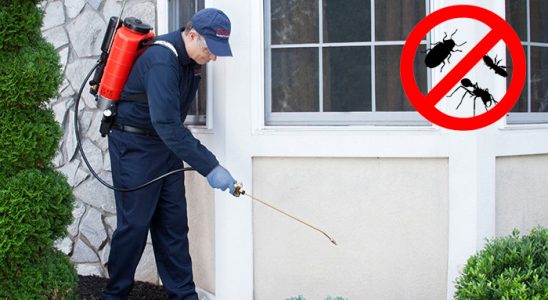 Alaçam Haşere İlaçlama böcek ilaçlama ve haşere kontrolü — ilaclama-tr.com